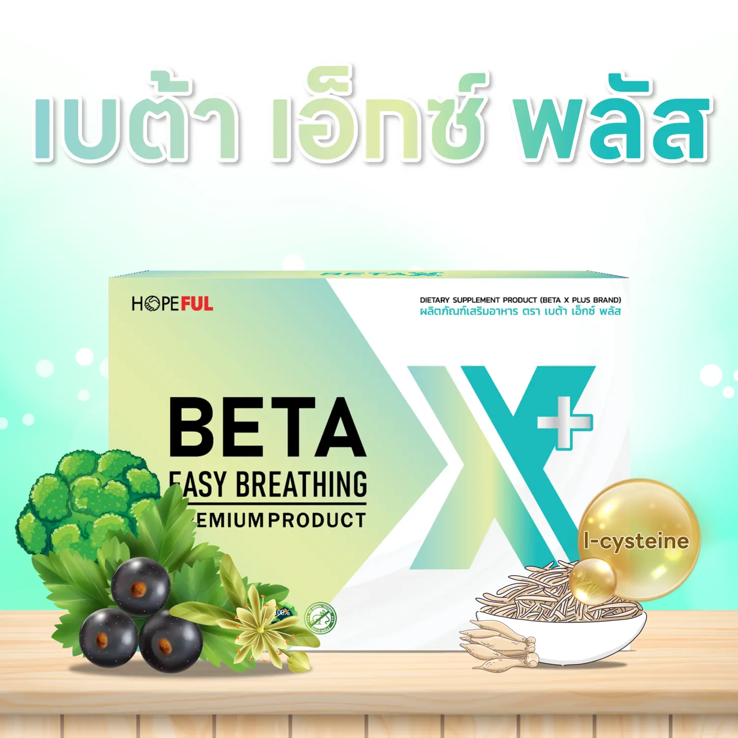 BETA X PLUS
